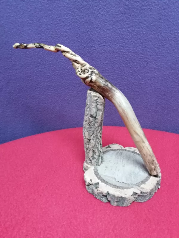 Caneta rústica em raíz e caule de planta
